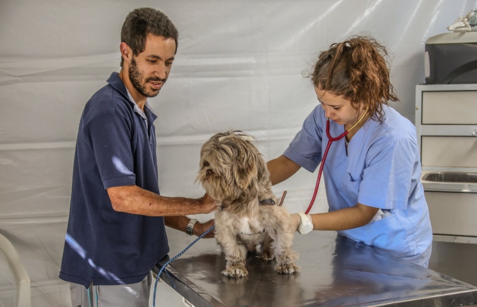 Santana de Parnaíba promove Campanha de Vacinação Antirrábica  