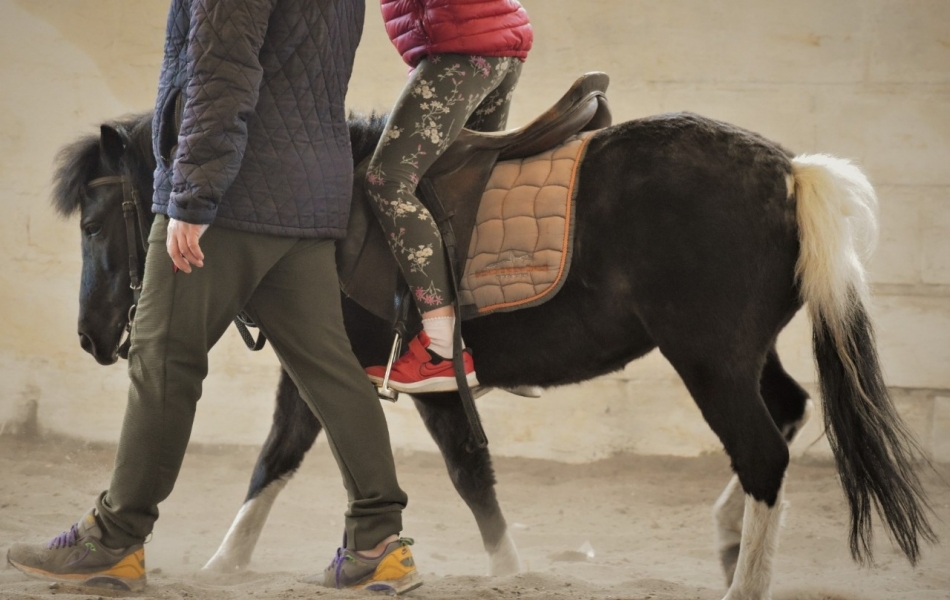 Saúde de Jandira agora oferece novo tratamento de Equoterapia