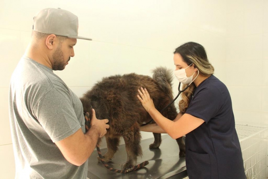 Barueri amplia atendimento clínico e de especialidades para pets