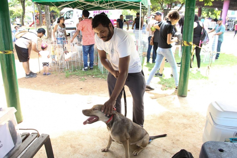 Fevereiro terá Feira Especial de Adoção de Pets em Barueri 