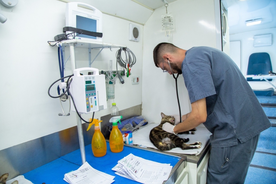 Mutirão de castração atende cerca de 550 pets no bairro Cento Vinte 