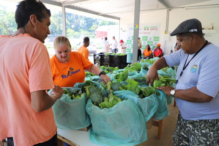 Horta da Gente de Barueri anuncia mudanças na distribuição da cesta verde