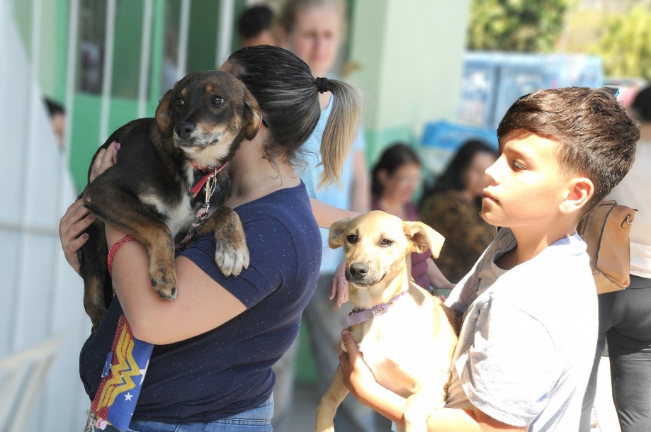 Cajamar irá promover mais um mutirão de castração no bairro São Benedito