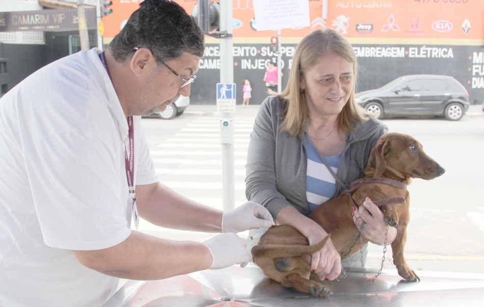 Barueri realiza vacinação de cães e gatos até final do mês
