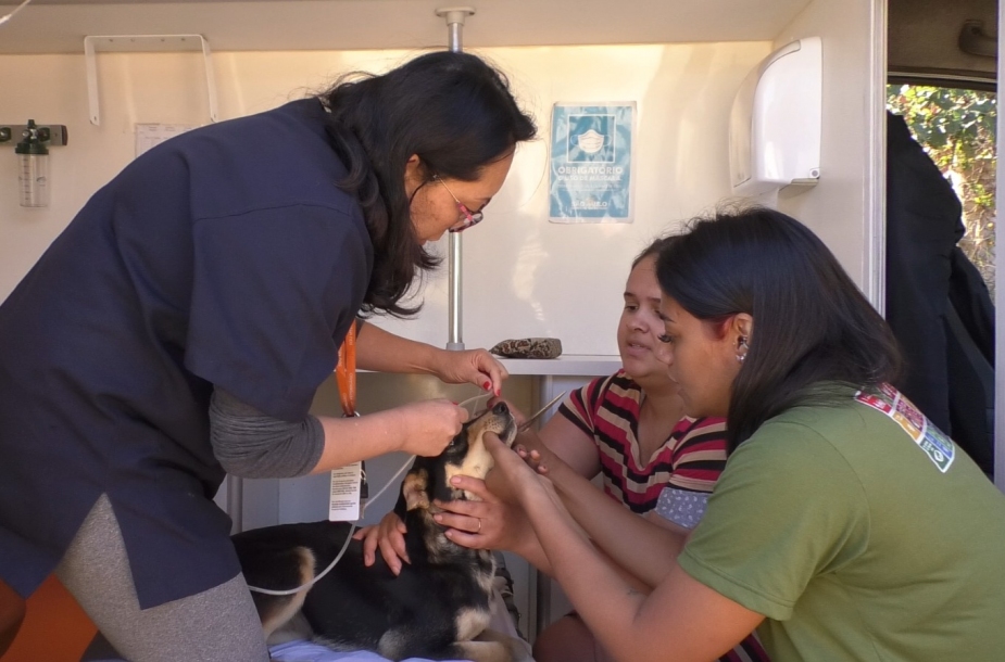 Bem-Estar Animal de Santana de Parnaíba realizou 1577 atendimentos no 1º semestre 