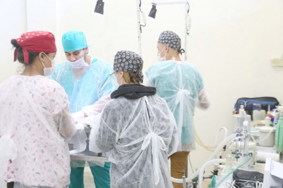 Programa de castração de cães e gatos de Cajamar traz inovações