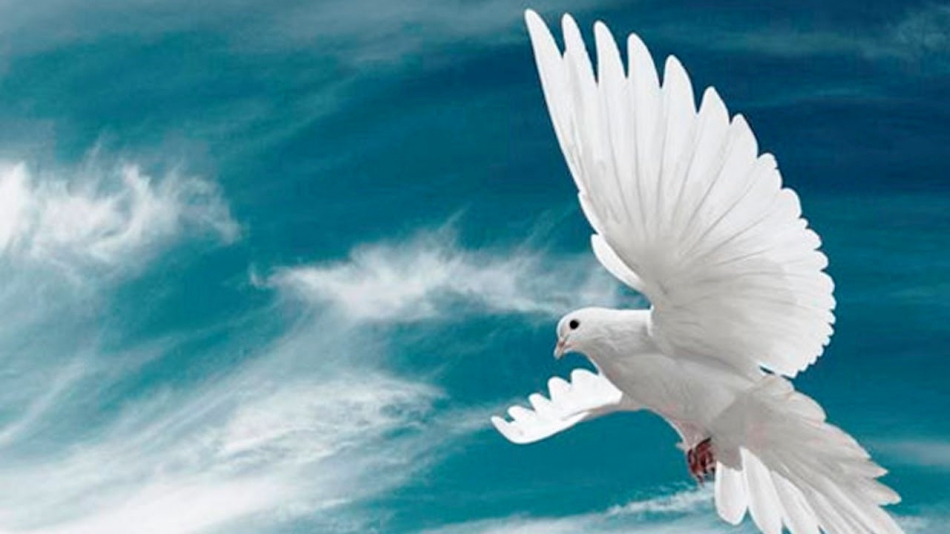 A Vida no Espírito Santo