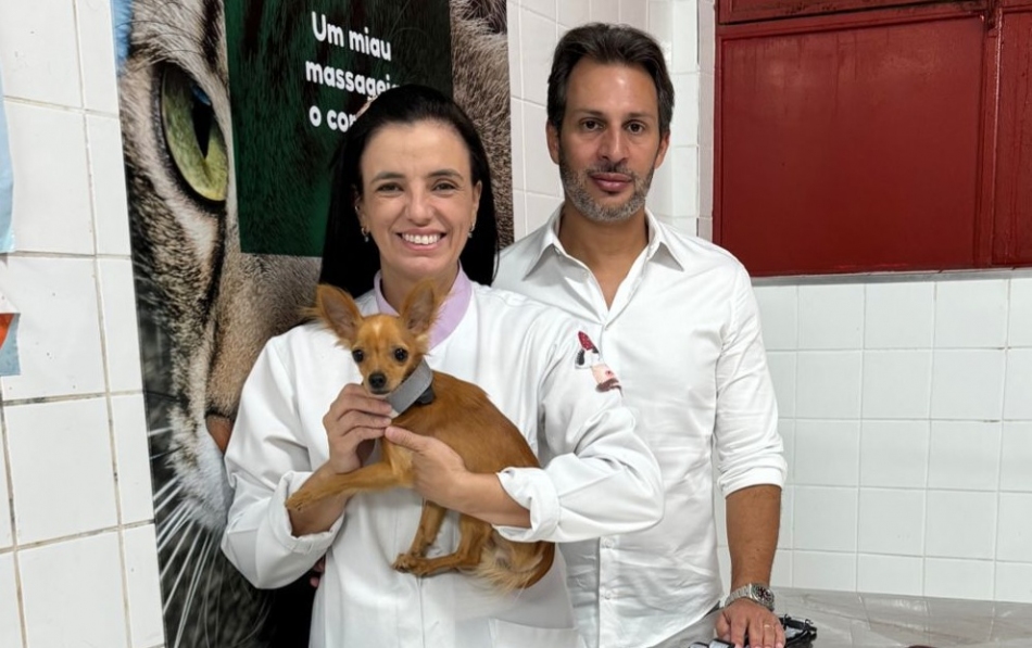 Cajamar Inova e lança coleiras refletivas para os animais de rua