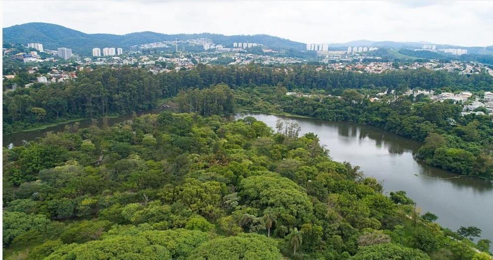 ONU reconhece Barueri como cidade amiga das árvores