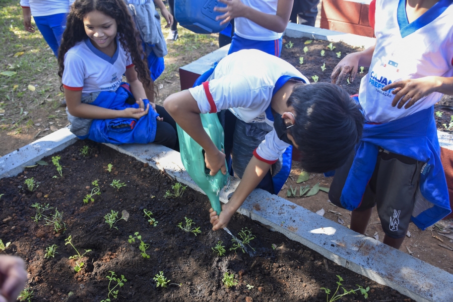 EMEB Demétrio Rodrigues Pontes participa do Projeto Semeia Cajamar