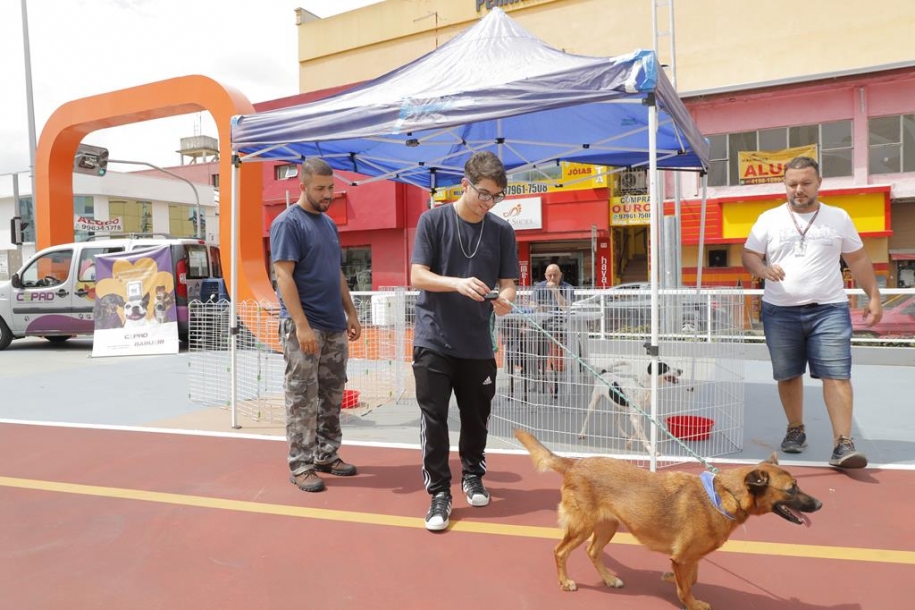 Barueri promove feiras de adoção de pets para munícipes 