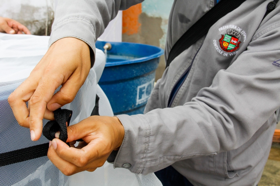 Itapevi iniciará Mutirão Todos contra a Dengue 2025 