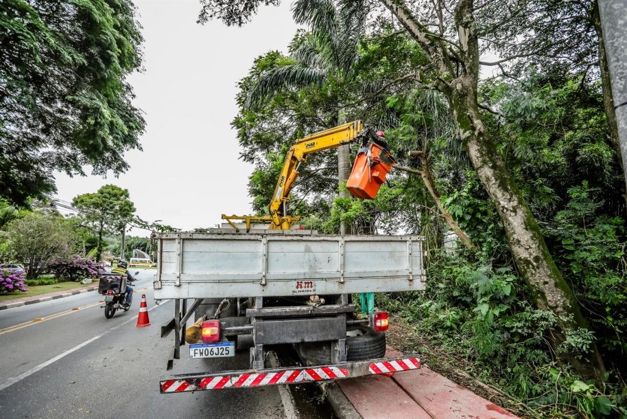 Santana de Parnaíba intensifica serviço de poda de árvores