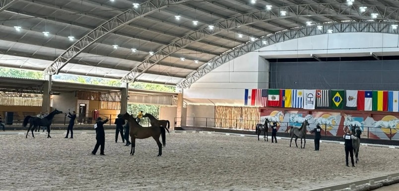 Tatuí, município de interesse turístico, sedia a 38ª Exposição Interestadual do Cavalo Árabe