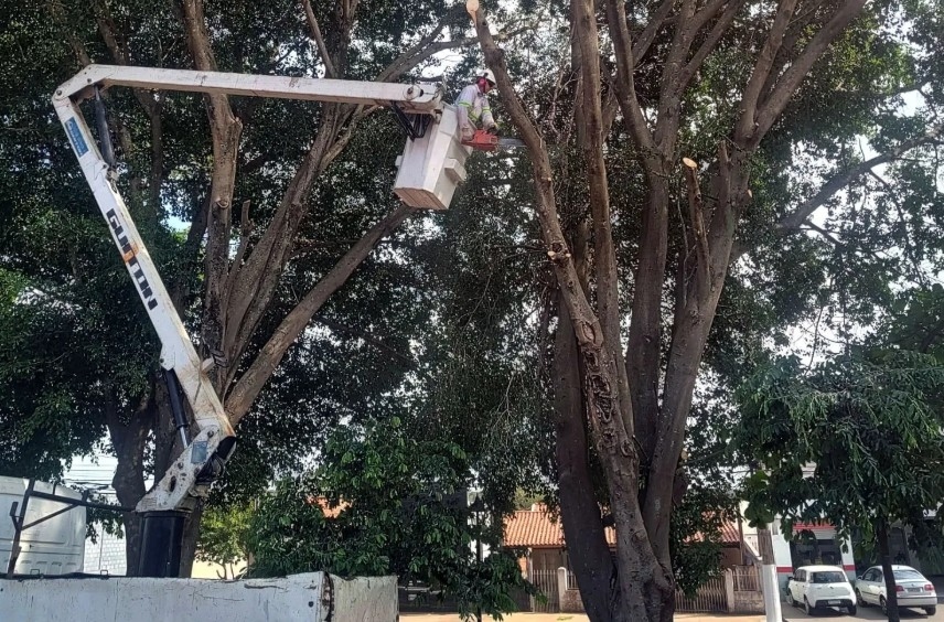 245 serviços de manutenção de árvores são realizados em Tatuí no mês de março
