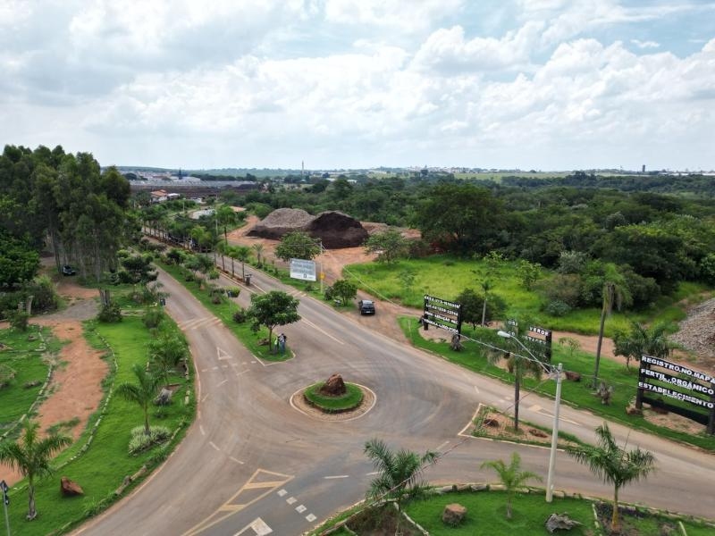 Prefeitura de Campinas arrecada R$ 146 mil em leilão virtual de toras de eucalipto