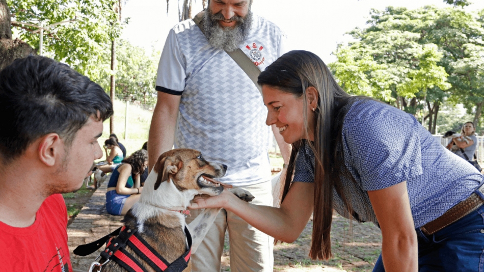 Bem-estar Animal recolhe 93 animais até maio