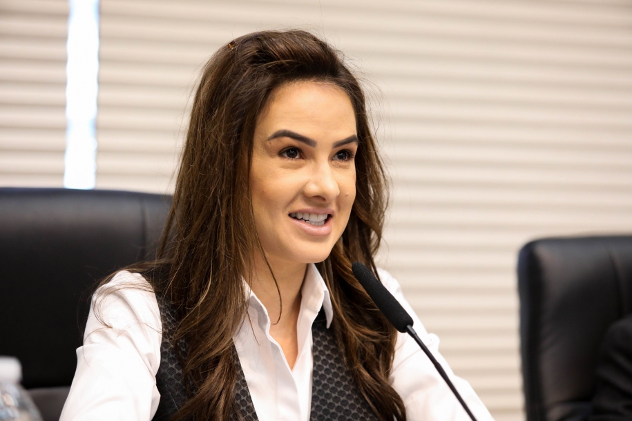 Deputada estadual Bruna Furlan promove audiência sobre o papel do Terceiro Setor na Saúde Pública